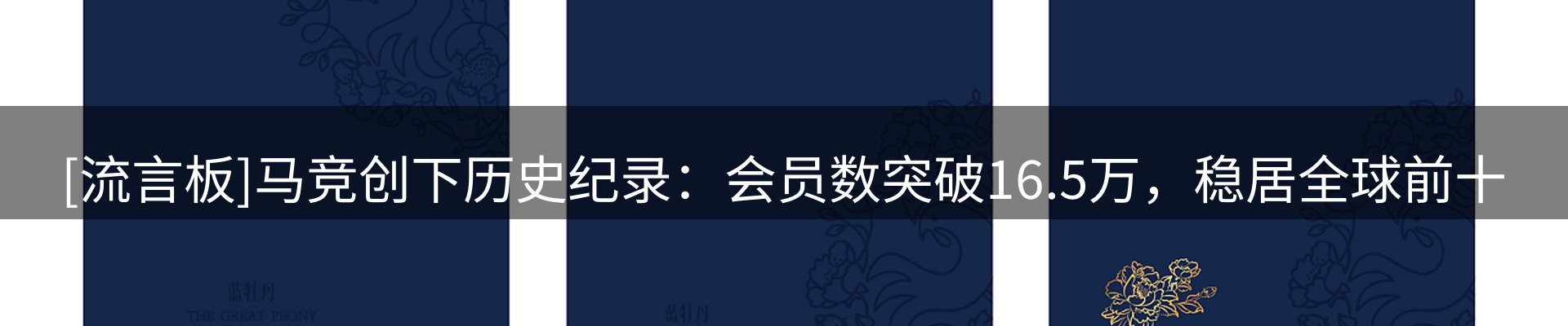 资讯报道